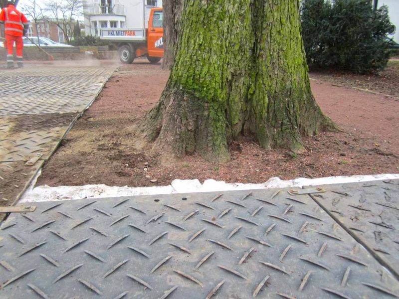 Sanierung einer Deichanlage - Wurzelschutz / Baumwurzelschutz