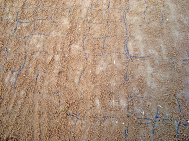 Bodengitter BG50 ohne Unterbau für ein Paddock / Offenstall selber verlegen