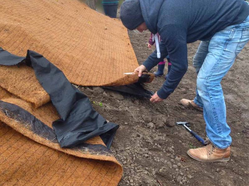 Verlegung der Mulchmatte Kokos MMK600 aus Kokos zur Hangbefestigung