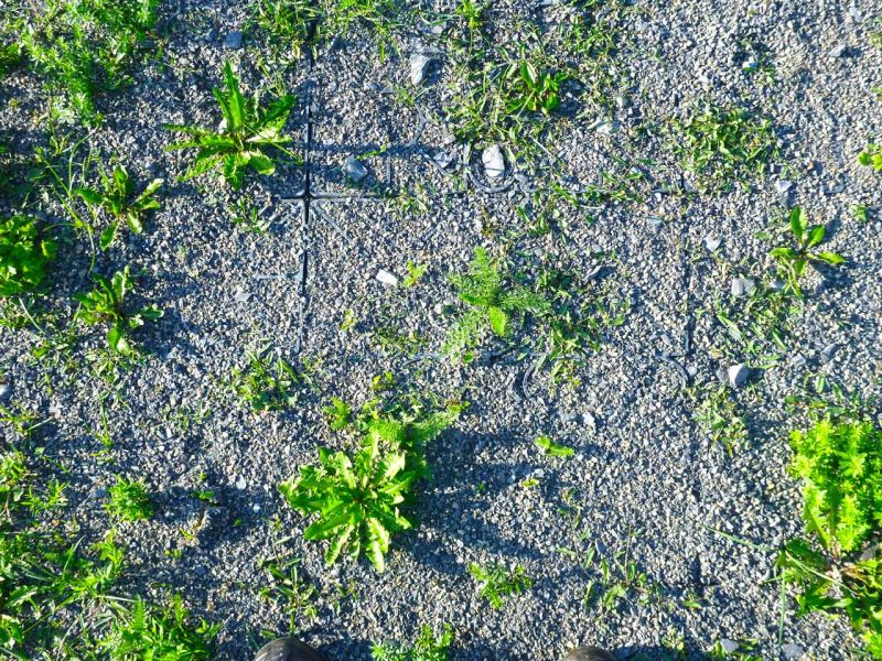 Bodenbefestigung eines Pferdeauslauf mit Weidezelt und Futterplatz