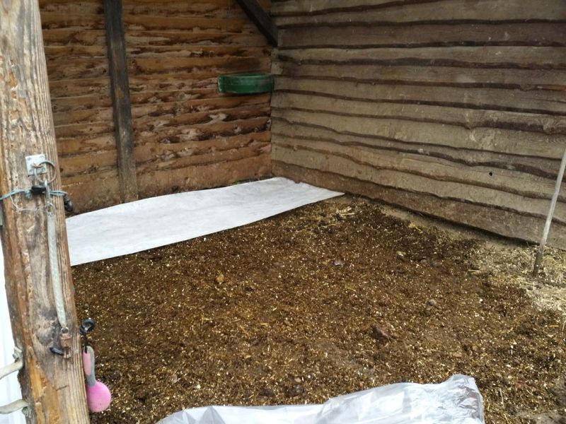 Matsch & Schlamm Ade. Das Paddock versinkt im Matsch, Pferde stehen im Schlamm. Das muss nicht sein, Bodengitter und Trennvlies von Securatek lösen das Problem!