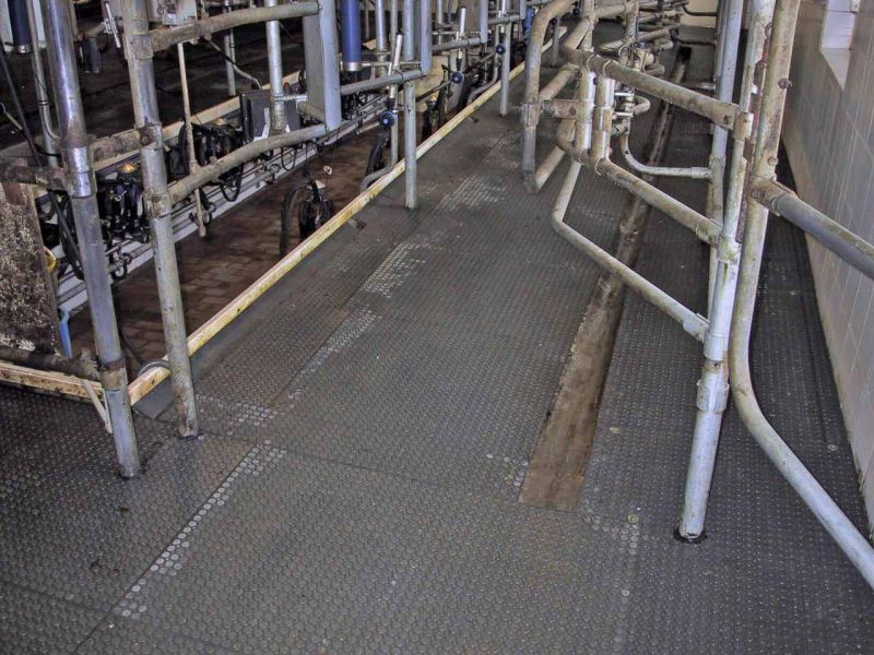 Bodenmatte aus Weich-PVC als Kuhmatte für Lauf,- Steh,- Liegeflächen in der Viehhaltung