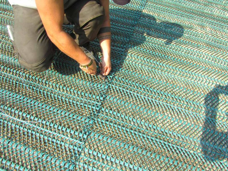 Rasennetz zur Rasenverstärkung eines Rasenparkplatz aus Rollrasen