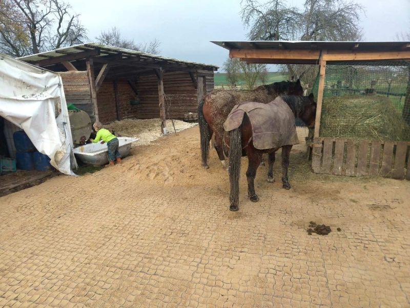 Matsch & Schlamm Ade. Das Paddock versinkt im Matsch, Pferde stehen im Schlamm. Das muss nicht sein, Bodengitter und Trennvlies von Securatek lösen das Problem!
