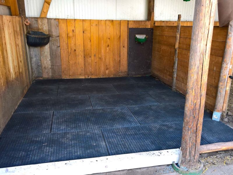 Verlegung von Bodenmatten als Stallboden für einen Pferdestall