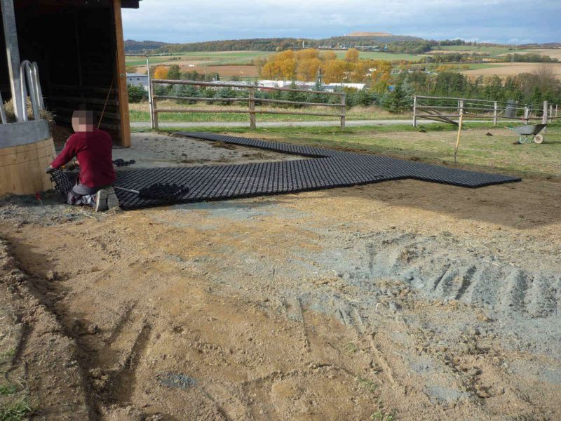 Paddockplatte pp60 für ein Profi Pferde paddock