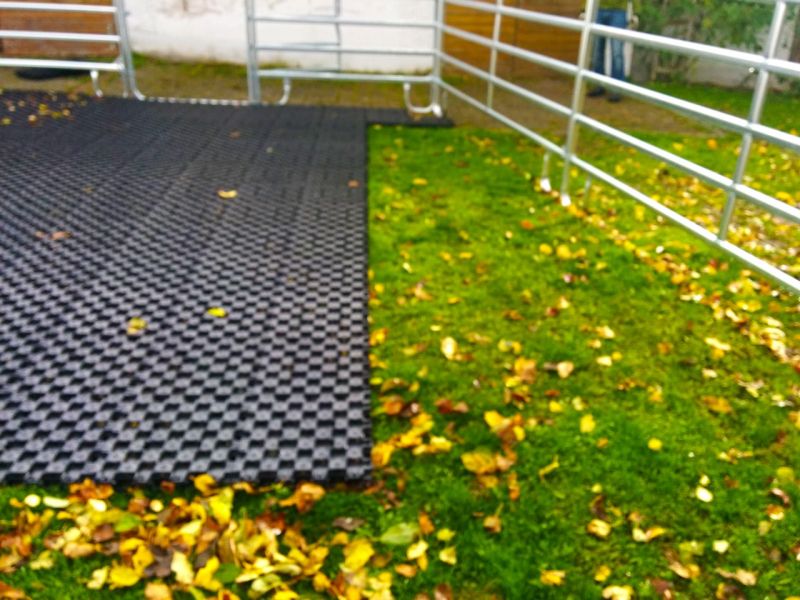 Verwandlung von 80m² Rasenfläche in ein matschfreies Pferdepaddock