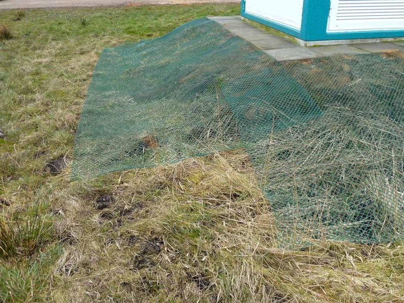 Wühlschutz bzw. Buddelschutz an einer Trafostation vor Kaninchen und Kleintieren