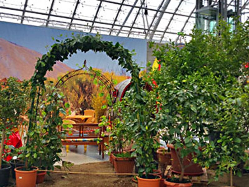 Böschungsmatte Kokos BMK350 mal anders eingesetzt