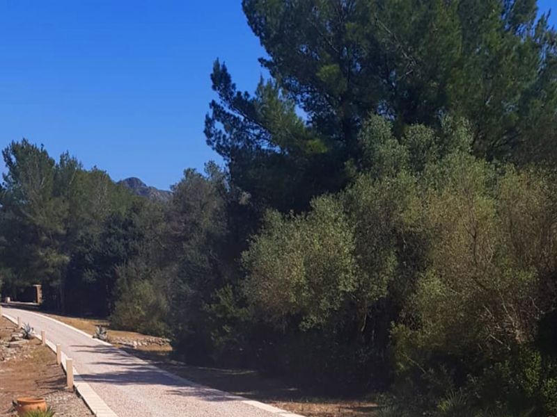 Wie eine Werbung für einen Mallorca Urlaub das kann unser Kiesgitter KG30