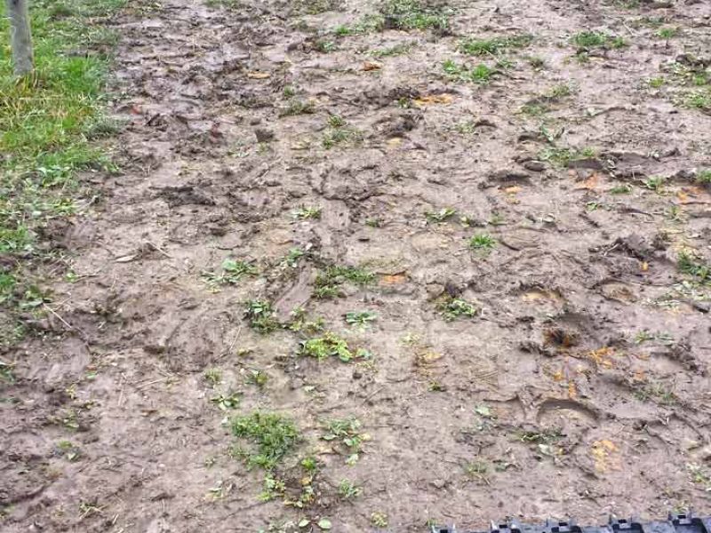 Paddockplatten ohne Unterbau selber verlegen - Paddocks ohne Matsch