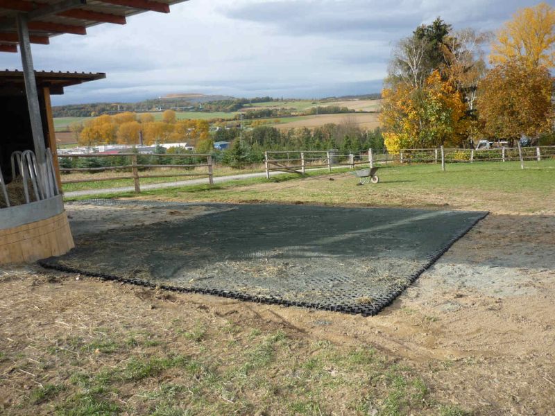 Paddockplatte pp60 für ein Profi Pferde paddock