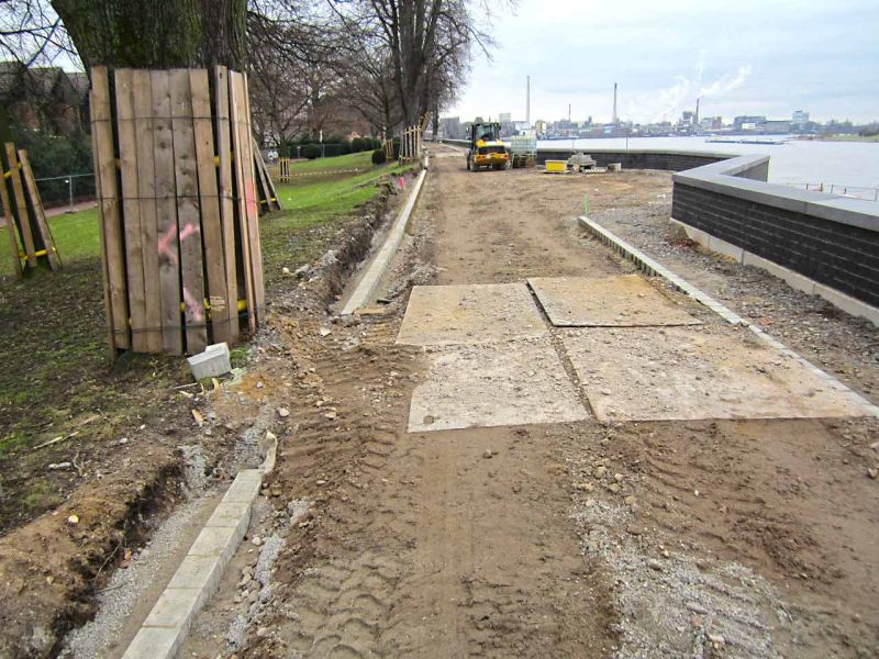 Sanierung einer Deichanlage - Wurzelschutz / Baumwurzelschutz