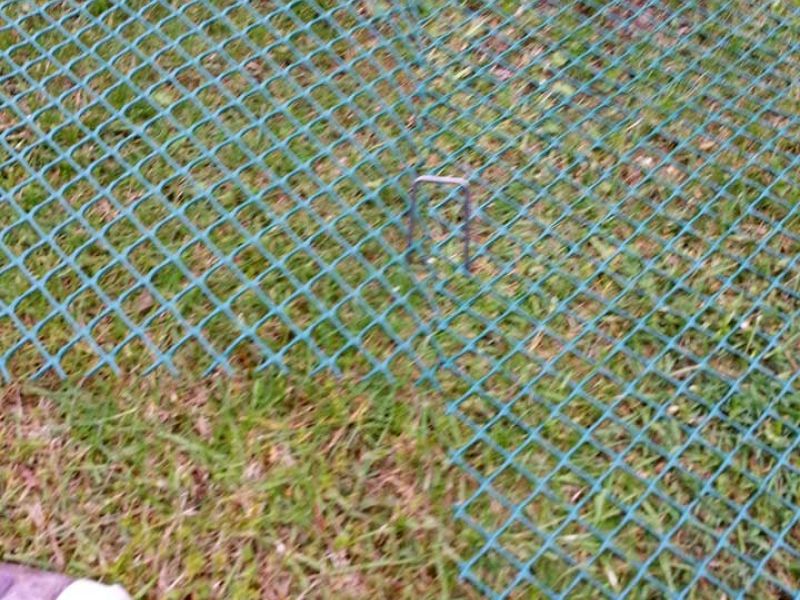 Rasennetz RN640 zur Rasenverstärkung und Rasenschutz im Garten und Hof