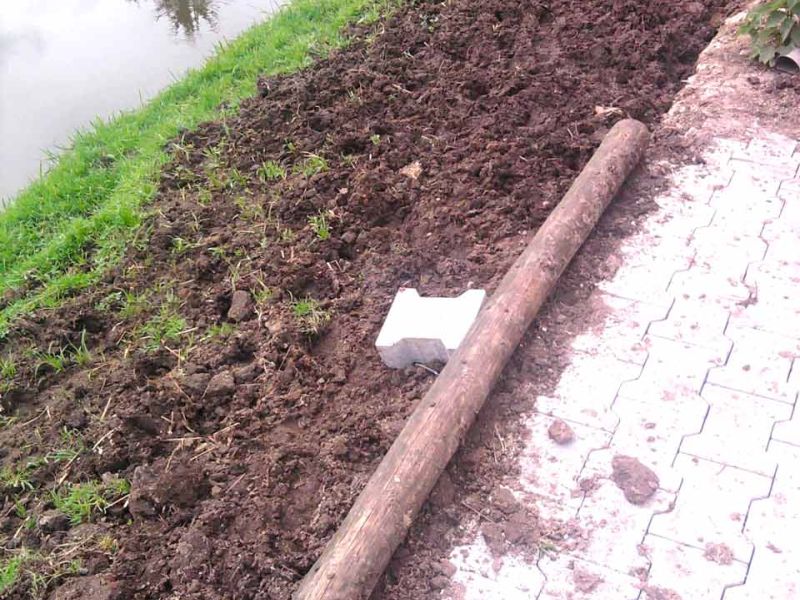 Rasennetz zum Rasenschutz für einen Offenstall und Auslauf eines Esel