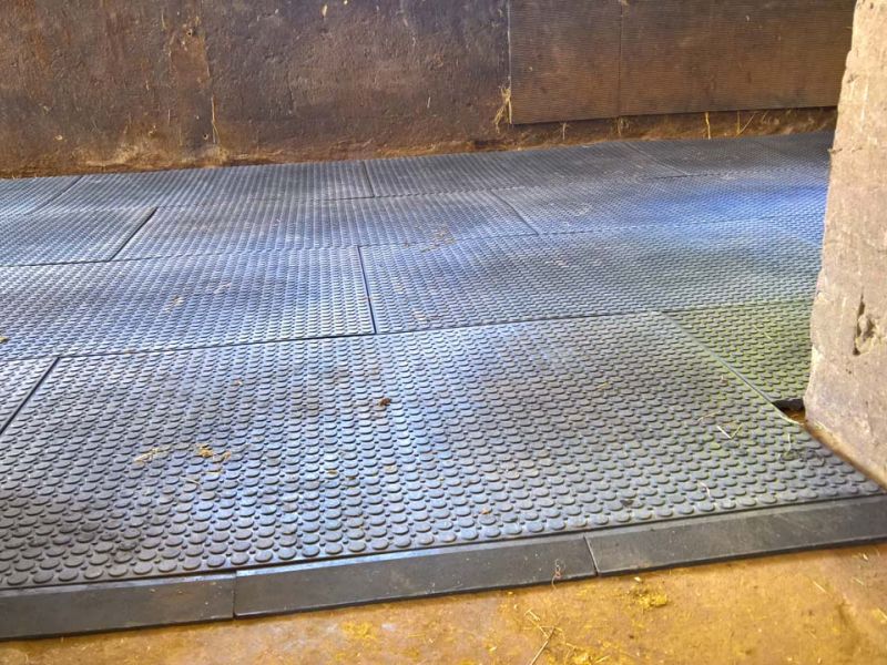 Verlegung von Bodenmatten als Stallboden für einen Pferdestall