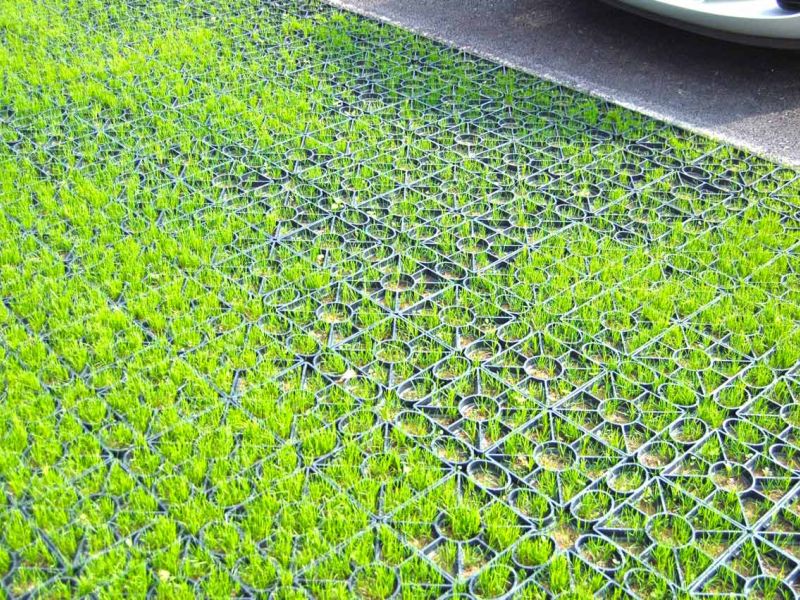 Rasengitter RG24 zur Stabilisierung eines Besucherparkplatz einer Kirche