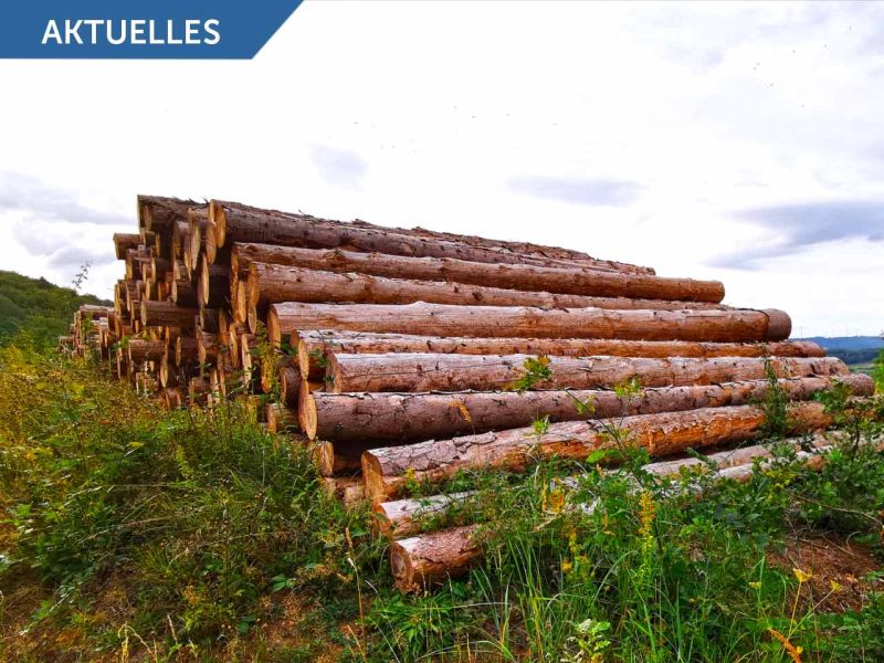 Investitionsprogramm Wald - Bis zu 40% Zuschüsse für Bodenschutzplatten von Securatek - BMEL Positivliste Rentenbank Förderung