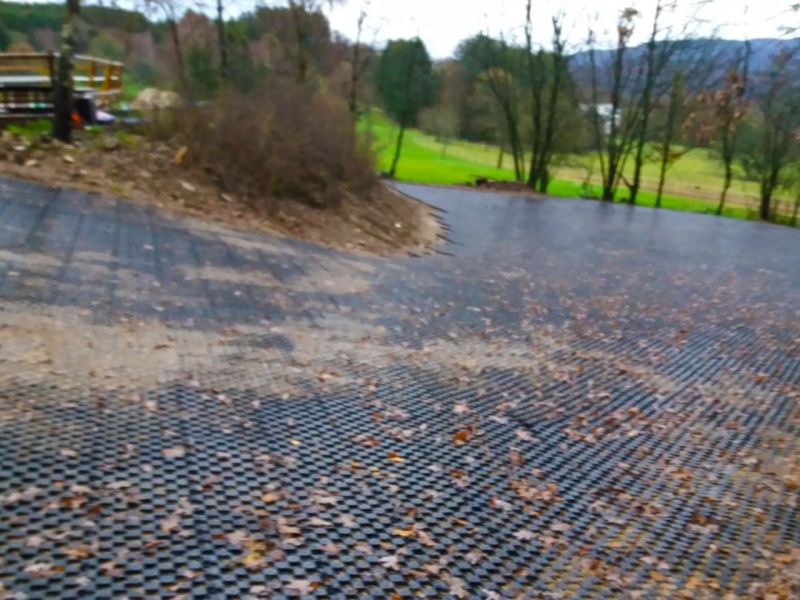 Fertig verlegte Paddockplatten im Freilaufbereich eines Pferdestalls mit Waldblick.