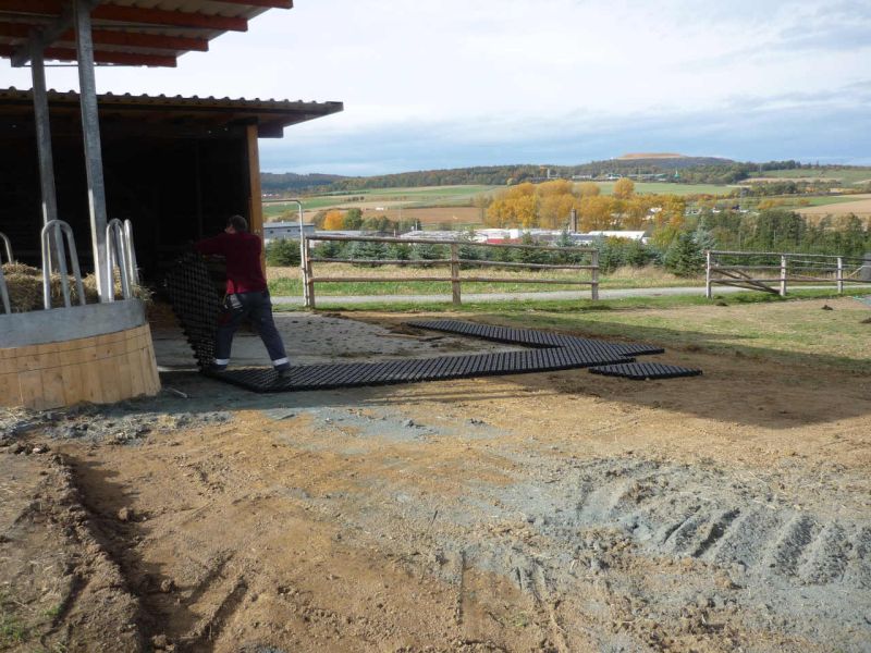 Paddockplatte pp60 für ein Profi Pferde paddock