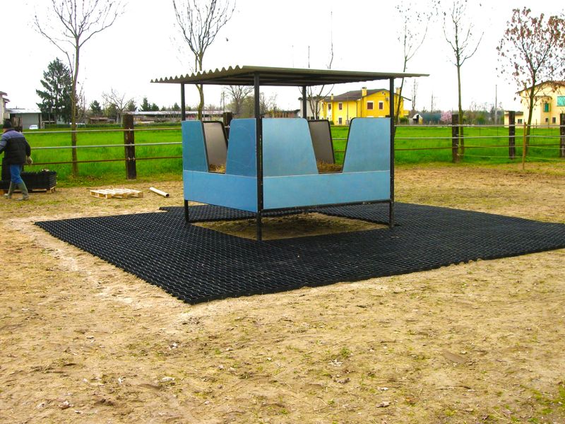 Bodengitter als Paddockplatte, Paddockgitter zur Pferdehaltung und Reitsport