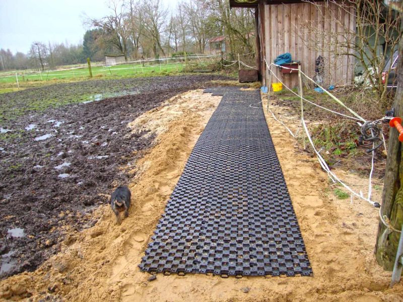 Matschfreier Weidezugang zum Futterplatz und Wassertränke für Pferde