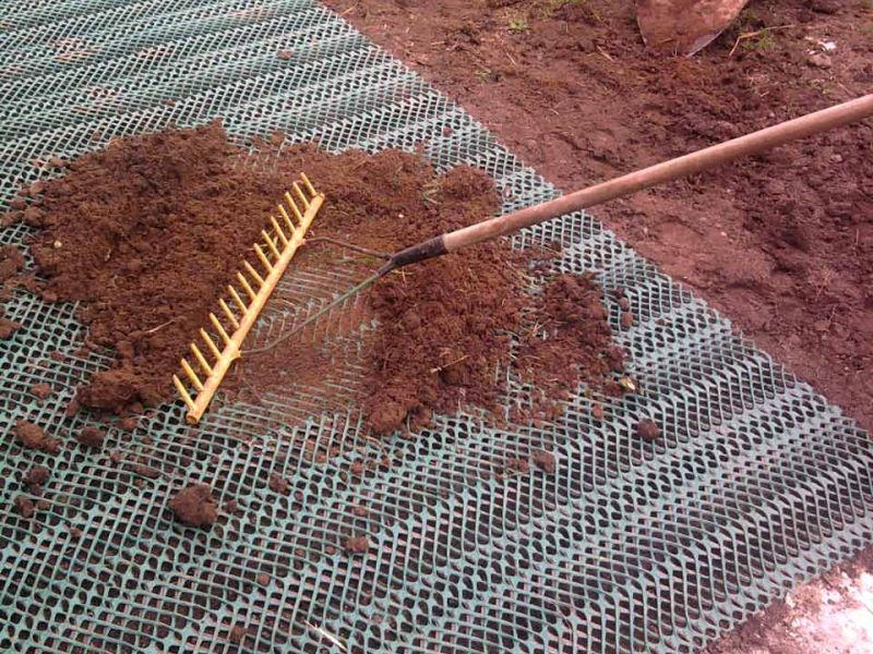 Rasennetz zum Rasenschutz für einen Offenstall und Auslauf eines Esel