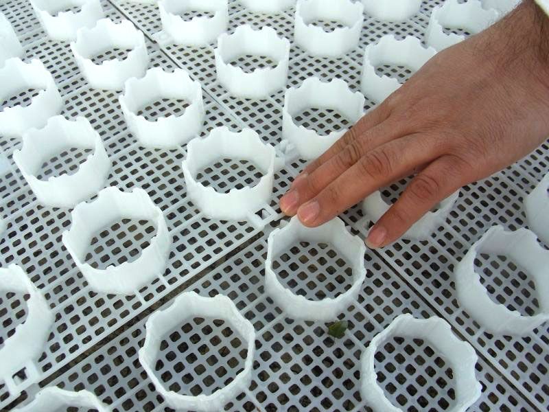 Anlegen einer Kiesfläche im Vorgarten für Parkplätze mit dem Kiesgitter KG30