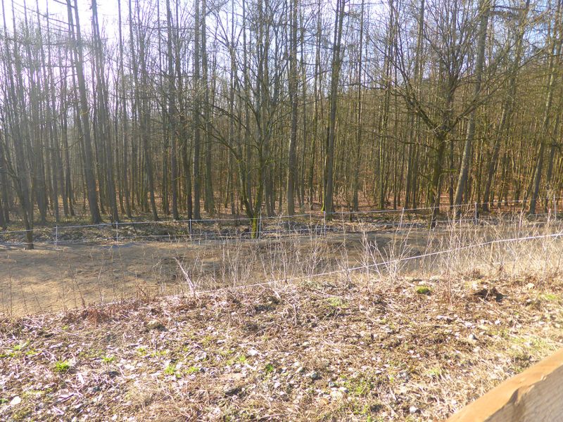 Update zu unserem Artikel "Befestigter Freilauf bei einer Pferdepension mit der Paddockplatte PP60"