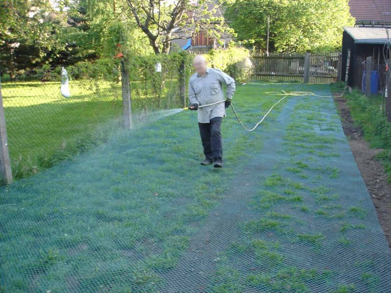Rasennetz als Wühlschutz und Buddelschutz für Hühner in der Freilandhaltung