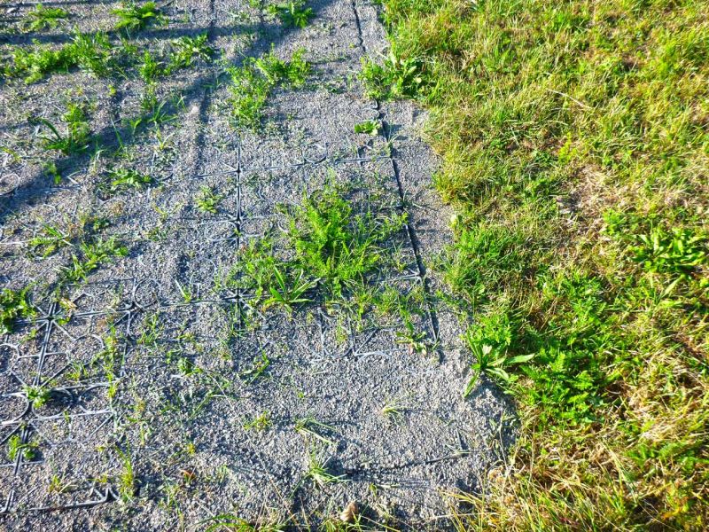 Bodenbefestigung eines Pferdeauslauf mit Weidezelt und Futterplatz