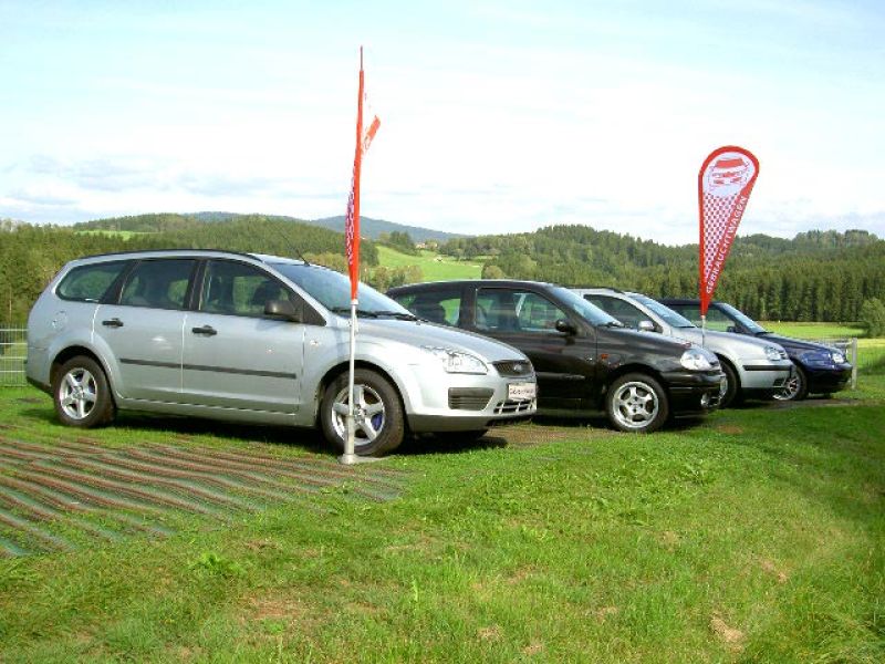 Rasennetz RN zur Rasenverstärkung der Ausstellungsfläche eines Autohauses