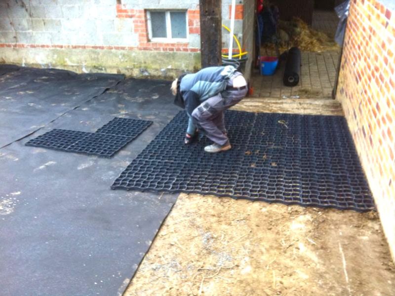 Stabilisierung eines Paddocks mit Hilfe des Bodengitters BG30