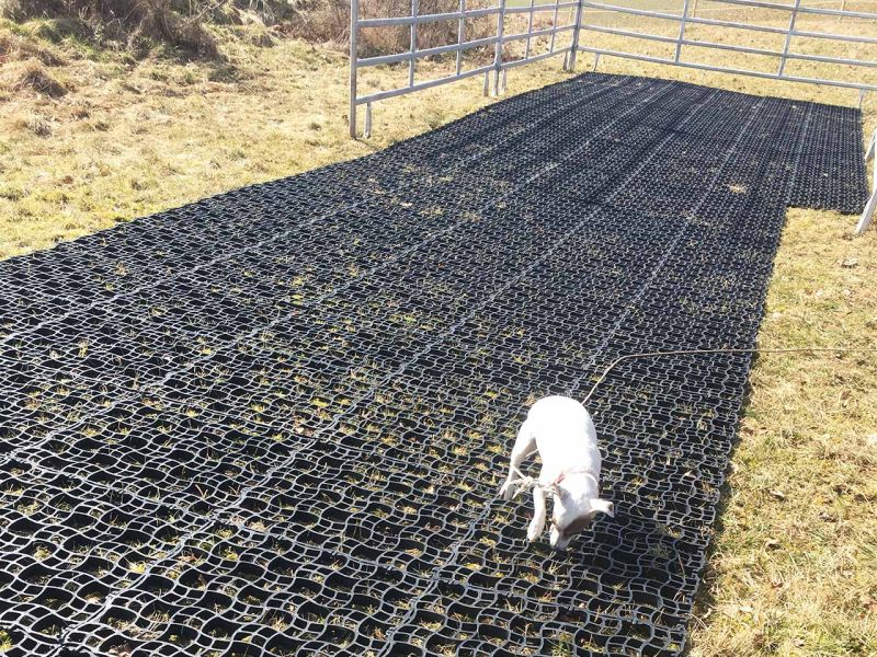 Mit dem Bodengitter BG30 einen befestigten Unterboden schaffen