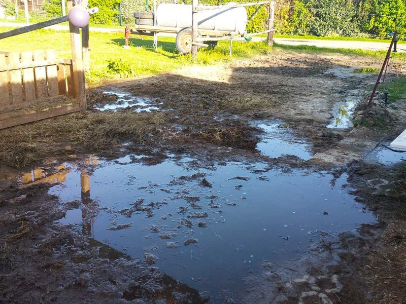 Matsch & Schlamm Ade. Das Paddock versinkt im Matsch, Pferde stehen im Schlamm. Das muss nicht sein, Bodengitter und Trennvlies von Securatek lösen das Problem!