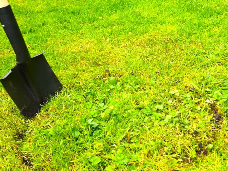 Randeinfassung aus Kunststoff als Rasenkante bzw. Beetkante für Pflanzflächen