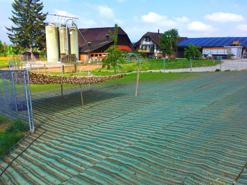 Rasennetz als Rasenschutz für eine Hühnerweide bzw. Hühnerauslauf
