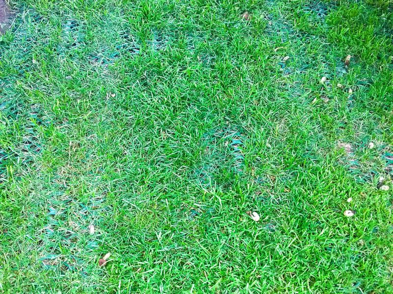 Rasennetz RN zur Rasenverstärkung und rutsch Festigkeit für einen Mähroboter