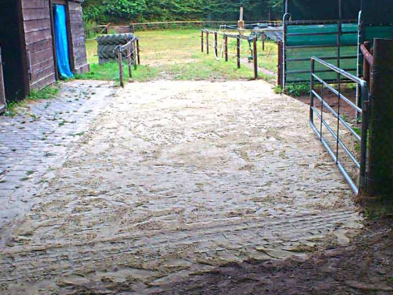Verlegung des Bodengitter BG30 ohne Unterbau für ein Pferde Paddock / Offenstall