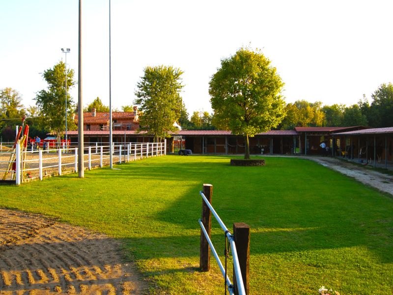 Bodengitter als Paddockplatte, Paddockgitter zur Pferdehaltung und Reitsport