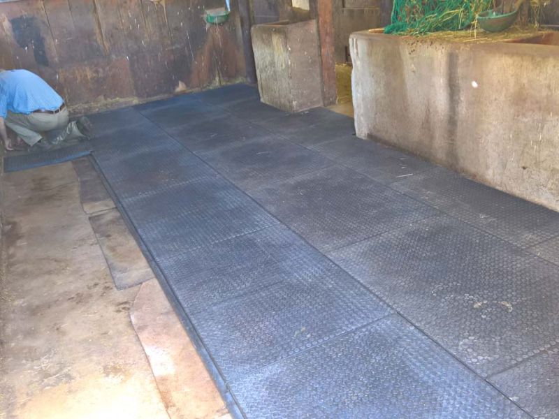 Verlegung von Bodenmatten als Stallboden für einen Pferdestall