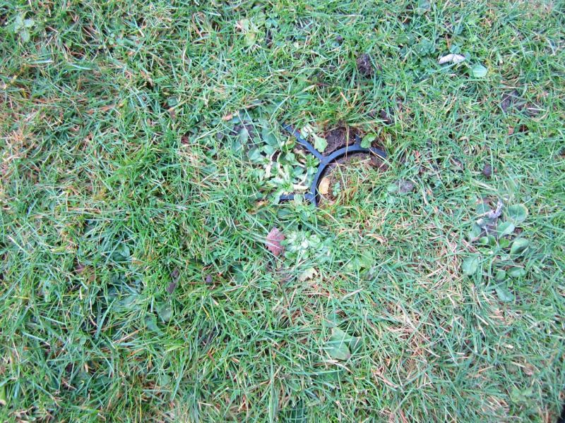 Rasengitter RG24 als nicht sichtbare Rasenverstärkung einer Nutzfläche