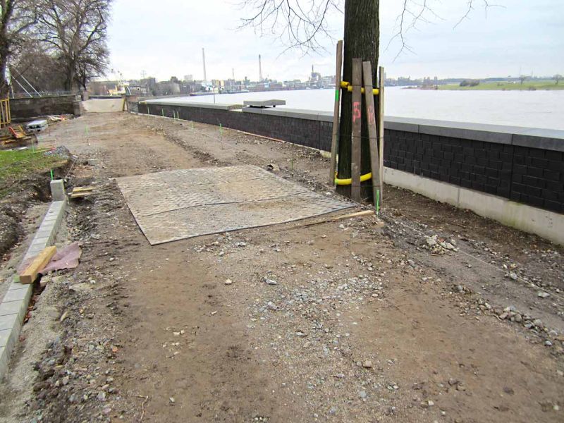 Sanierung einer Deichanlage - Wurzelschutz / Baumwurzelschutz