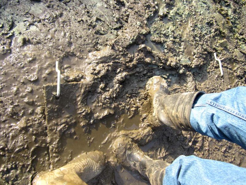 Fahrplatten als Hilfe zur Teichentschlammung