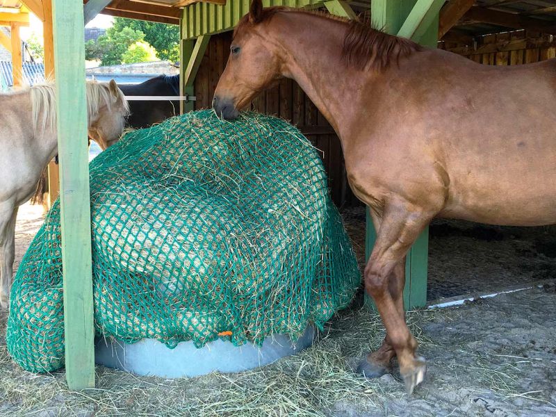 Sie haben ein Paddock, Offenstall, Futterplatz & möchten diesen ohne Erdarbeiten & Unterbau schnell, einfach & maximal befestigen? Klingt wie ein Traum? Hier sehen Sie wie es geht...