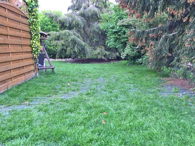 Rasennetz RN 1800 als Wühlschutz, Buddelschutz für den Hundeauslauf im Garten