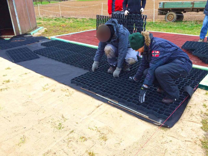 Bodengitter BG50 für ein Pferdepaddock selbst verlegen und verfüllen