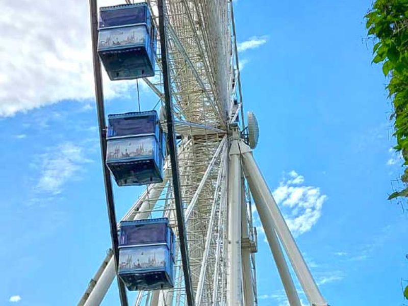 Fahrplatten als Eventboden zum Rasenschutz und Herstellung eines matschfreien Fußweg und Zuschauerfläche vor dem Europarad in Köln