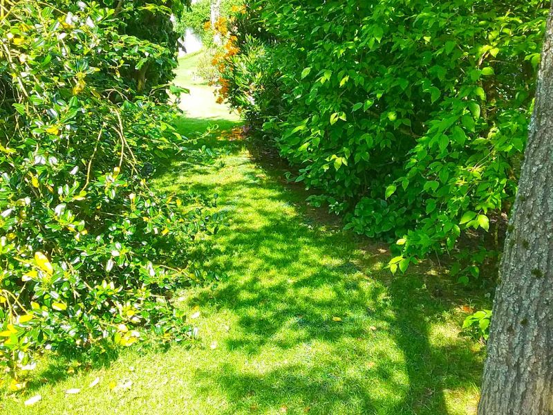 Rasennetz RN zur Rasenverstärkung und rutsch Festigkeit für einen Mähroboter