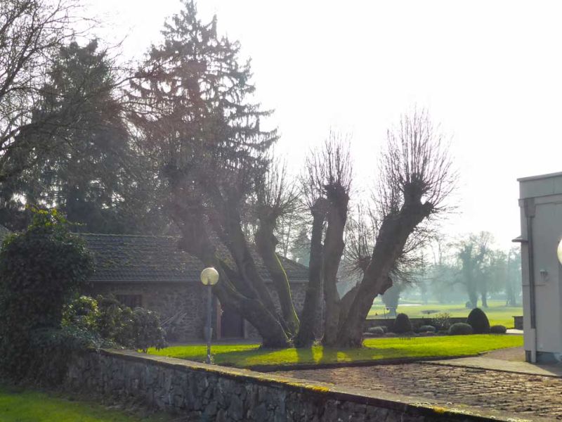 Baustraße zur Teichentschlammung im Golfplatzbau bzw. Golfplatzpflege